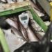 ÑUBLE: Más de 3 toneladas de productos marinos fueron decomisados en Semana Santa.