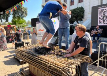 Región de Ñuble fue el gran atractivo en Santa Vendimia en Plaza Ñuñoa.