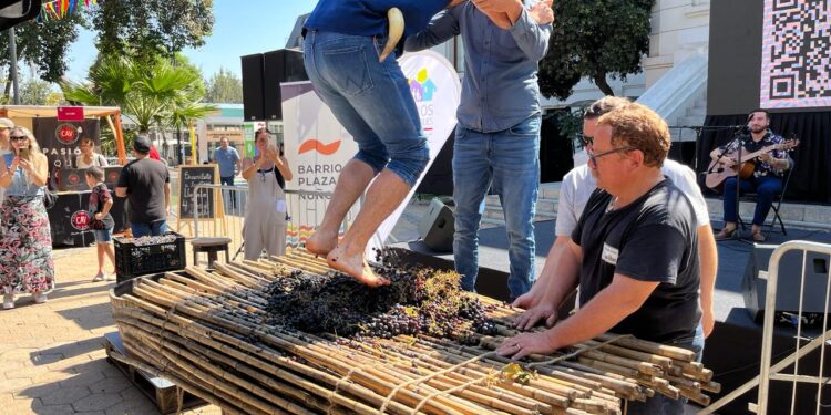 Región de Ñuble fue el gran atractivo en Santa Vendimia en Plaza Ñuñoa.