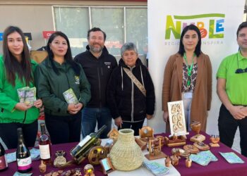 En Guarilihue región de Ñuble se realizará una nueva edición de la Fiesta de la Vendimia•