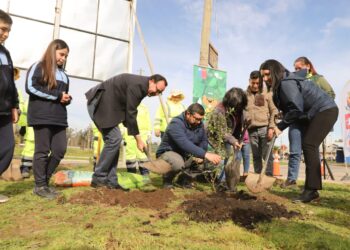CHILLÁN VIEJO SE PREPARA PARA RECIBIR  MÁS DE 900 ESPECIES ARBÓREAS  Y ARBUSTIVAS EN RUCAPEQUÉN
