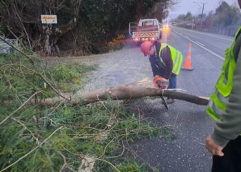 MOP ÑUBLE trabaja para recuperar conectividad vial en dos de Itata y monitorea desborde del río Lonquén.