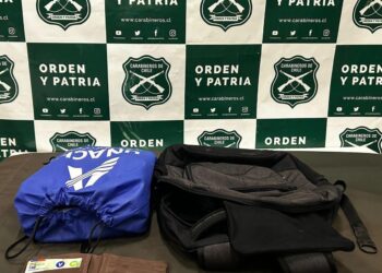 En el centro de Chillán hay delincuencia y también en algunas plazas dentro de las cuatro avenidas.