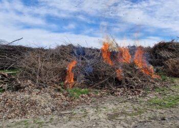 Quema autorizada movilizó a Bomberos de Quillón.
