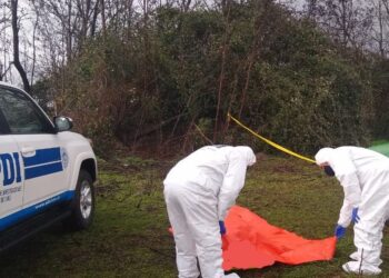 Entregan identidad de hombre encontrado muerto anoche en Coihueco. (foto referencial)