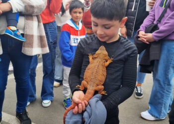 Más 8 mil visitantes y 30 stands congregó tercera Expo Mascotas 2024.