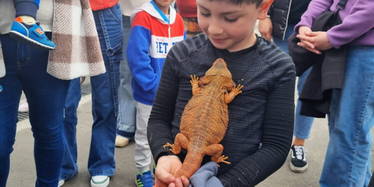 Más 8 mil visitantes y 30 stands congregó tercera Expo Mascotas 2024.
