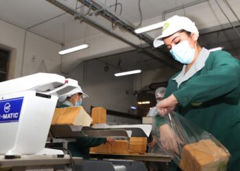 Mujeres de Ñuble lideran tasa de ocupación laboral en la región.