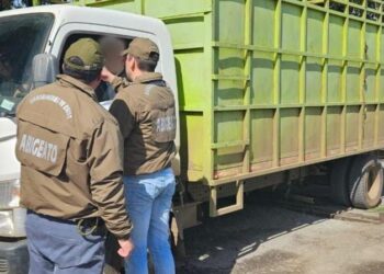 Con foco en la ruta, fiestas criollas y abigeato: Carabineros presentó los servicios preventivos para Fiestas Patrias en Ñuble.