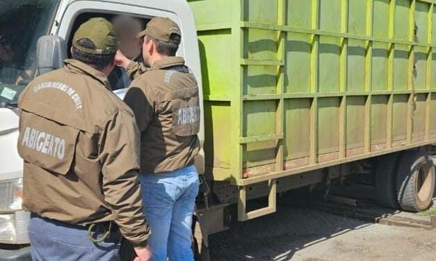 Con foco en la ruta, fiestas criollas y abigeato: Carabineros presentó los servicios preventivos para Fiestas Patrias en Ñuble.