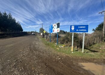 MOP inicia el asfaltado de 10,2 kilómetros de la ruta El Cardal en Pinto.