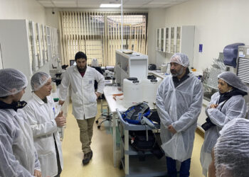 Investigadores de Georgia Tech e INIA Quilamapu buscan disminuir el uso de fertilizantes nitrogenados en la agricultura