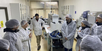 Investigadores de Georgia Tech e INIA Quilamapu buscan disminuir el uso de fertilizantes nitrogenados en la agricultura