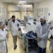 Investigadores de Georgia Tech e INIA Quilamapu buscan disminuir el uso de fertilizantes nitrogenados en la agricultura