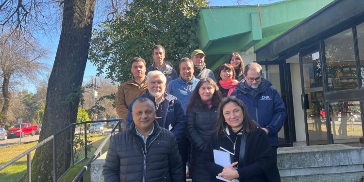 PROGRAMA DE CORFO Y MINAGRI QUE ABORDA LA SOSTENIBILIDAD EN LA PRODUCCIÓN DE ARROZ EN ÑUBLE COMIENZA SU SEGUNDO AÑO DE EJECUCIÓN.