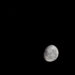 Eclipse parcial de Luna: el fenómeno astronómico que se podrá observar en Fiestas Patrias