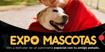 Municipalidad de Chillán y VIVO Outlet preparan la tercera Expo Mascotas 2024