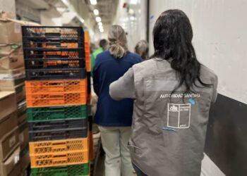 Seremi de Salud de Ñuble comunica presencia de Listeria monocytogenes en QUESILLO de distribución regional.