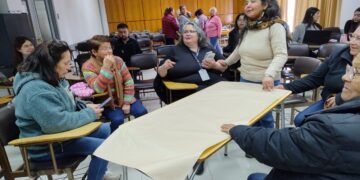 Colchanderas del Valle del Itata se perfeccionaron junto a académicos de Trabajo Social UBB