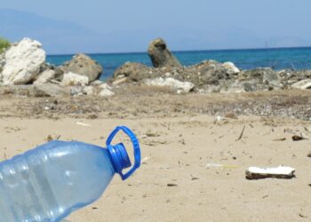 EN EL DÍA MUNDIAL DE LIMPIEZA DE PLAYAS GOODYEAR Y SUS COLABORADORES SE MOVILIZAN