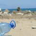 EN EL DÍA MUNDIAL DE LIMPIEZA DE PLAYAS GOODYEAR Y SUS COLABORADORES SE MOVILIZAN