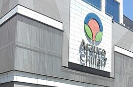 Seremi de Salud fiscalizó y decomisó 12 kilos de alimentos en local de comidas por perdida de cadena de frío.