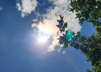 El clima de un año bien especial: sin fenómeno de La Niña, pero con alta radiación UV.