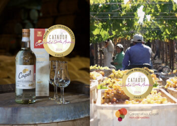 Por segundo año consecutivo 🏅  COOPERATIVA CAPEL, MEJOR PRODUCTOR DE DESTILADOS EN EL CATAD’OR WORLD SPIRITS AWARDS.