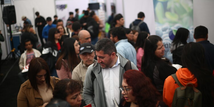Empresas ofrecerán más de 2.500 puestos de trabajo en feria laboral del Sence Ñuble.
