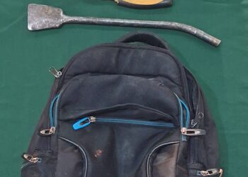 Individuo fue sorprendido robando en una verduleria en Chillán.
