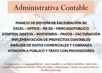 Excelente Profesional de la contabilidad ofrece su servicio para trabajar en Chillán.