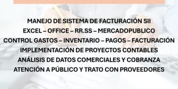 Excelente Profesional de la contabilidad ofrece su servicio para trabajar en Chillán.