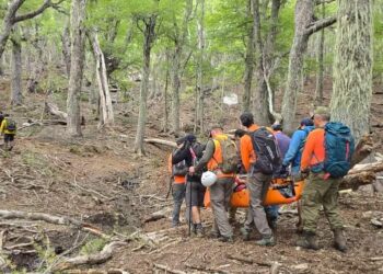 Rescatan Arriero que sufrió accidente en la cordillera de Pinto.
