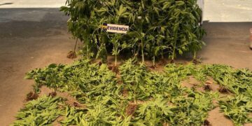 EN SAN CARLOS DETIENEN A DOS HOMBRES POR TRÁFICO DE DROGAS.