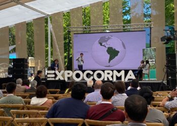 En la Expocorma 2024 gremios de la madera hacen llamado urgente a trabajar unidos para valorar el recurso y el sector.