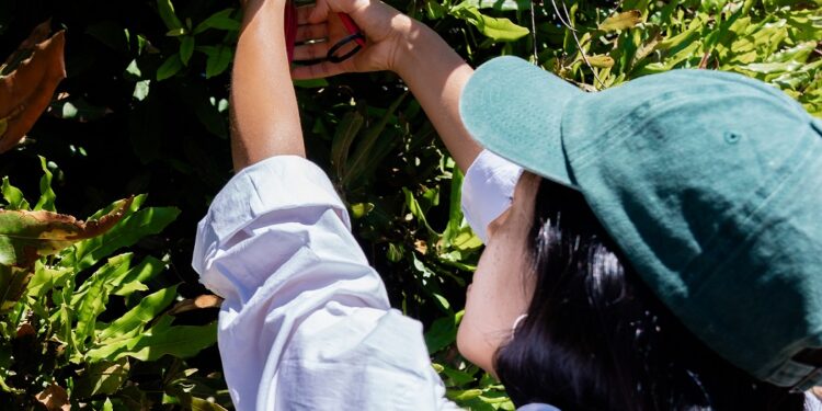 INIA dio inicio a innovador proyecto que impulsa la fruticultura sostenible y resiliente en Ñuble.