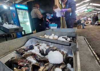 Seremi de Salud de Ñuble refuerza fiscalizaciones en víspera de Semana Santa.