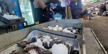 Seremi de Salud de Ñuble refuerza fiscalizaciones en víspera de Semana Santa.