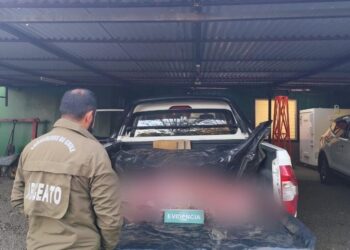 En Ñuble descubren matadero clandestino en comuna de San Fabián.