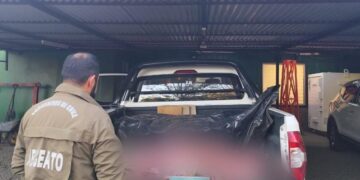 En Ñuble descubren matadero clandestino en comuna de San Fabián.