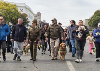 Chillán: Más de 800 personas participaron en la Corrida Familiar y Caminata Canina por aniversario 98 de Carabineros de Chile.