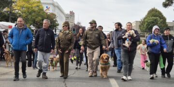 Chillán: Más de 800 personas participaron en la Corrida Familiar y Caminata Canina por aniversario 98 de Carabineros de Chile.