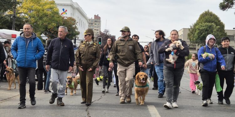 Chillán: Más de 800 personas participaron en la Corrida Familiar y Caminata Canina por aniversario 98 de Carabineros de Chile.