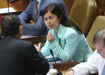 Diputada Marta Bravo solicitó al Gobierno un plan integral para otorgar a Ñuble plena soberanía sobre su mar.