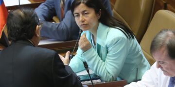 Diputada Marta Bravo solicitó al Gobierno un plan integral para otorgar a Ñuble plena soberanía sobre su mar.