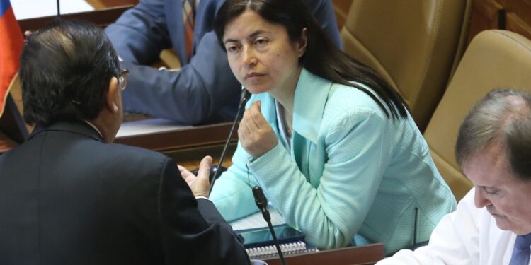 Diputada Marta Bravo solicitó al Gobierno un plan integral para otorgar a Ñuble plena soberanía sobre su mar.