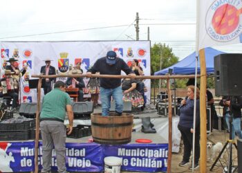 ÉXITO ROTUNDO EN LA CUARTA VERSIÓN DE LA FIESTA DE LA VENDIMIA EN RUCAPEQUÉN.