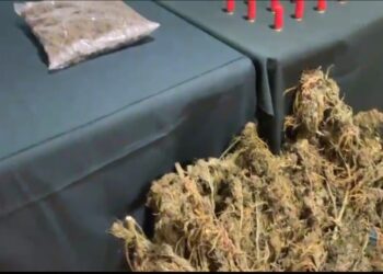 San Fabián: Carabineros detuvo a sujetos que producían sustancias ilícitas en su domicilio