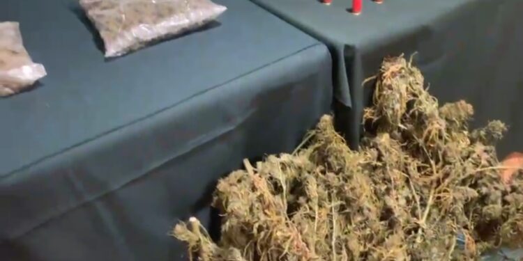 San Fabián: Carabineros detuvo a sujetos que producían sustancias ilícitas en su domicilio
