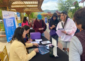 Ñuble presenta grandes desafíos en materia de desempleo.